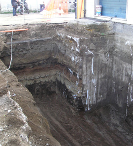 Allegro Ascensori